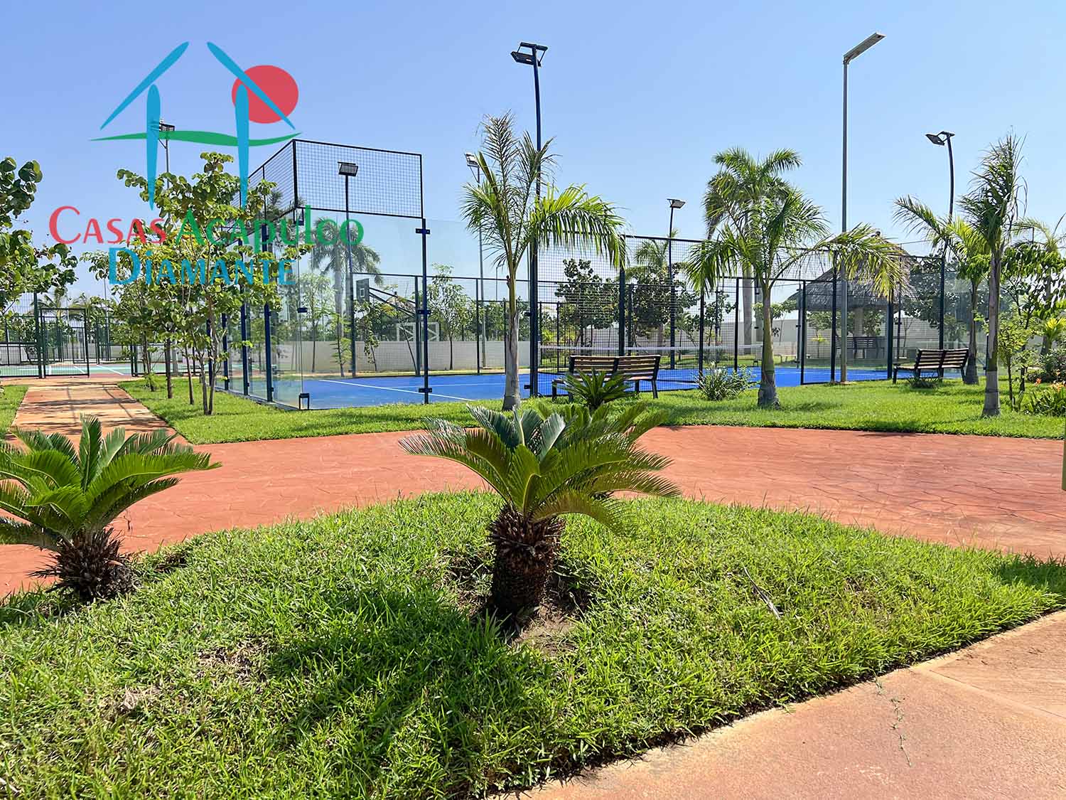 Dream Diamante - Canchas deportivas 3